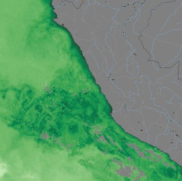 Clorofila-a frente al Perú (NOAA VIIRS)
